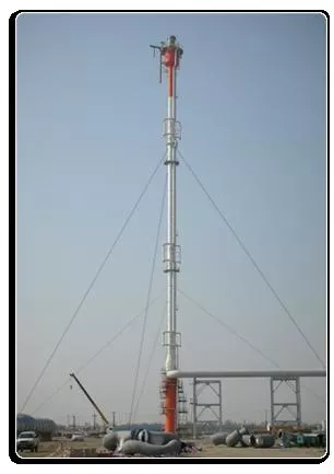 Flaring System - TATVA ENVIRO ENGINEERS - Waste Management Equipment