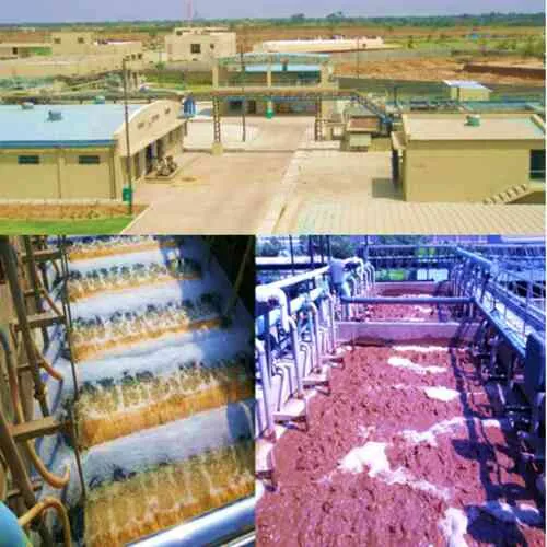 Common Effluent Treatment Plants (CETP) - En-Vision Enviro Technologies Pvt Ltd - Waste Management Equipment
