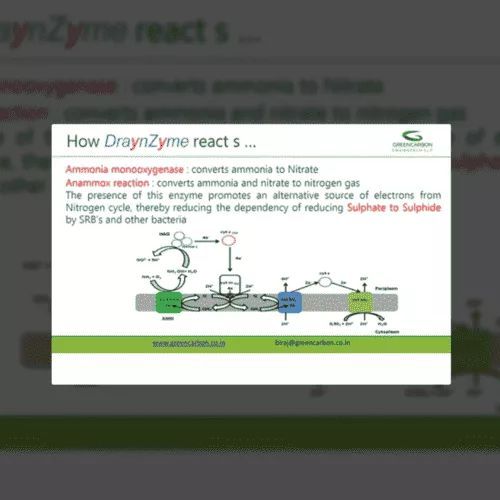 Bio-Enzyme (Draynzyme) For Wastewater treatment image 2