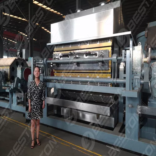 BTF6-8 Egg Tray Machine