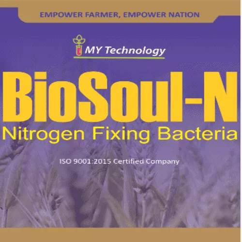 BioSoul-N