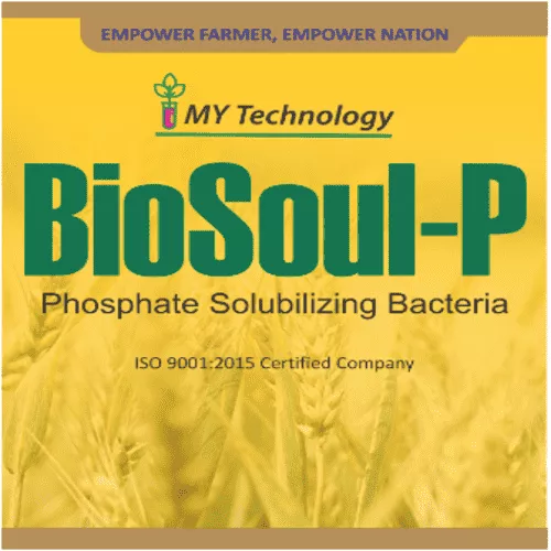 BioSoul-P