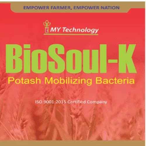 BioSoul - K