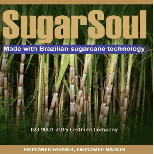 SugarSoul