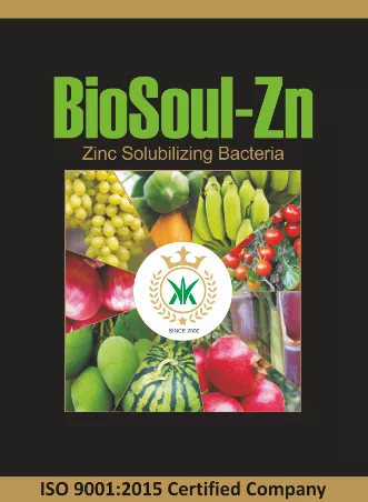 BioSoul - Zn