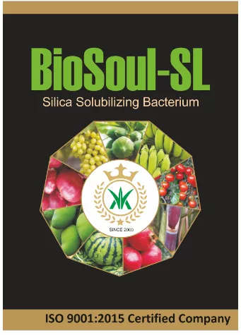 BioSoul - SL