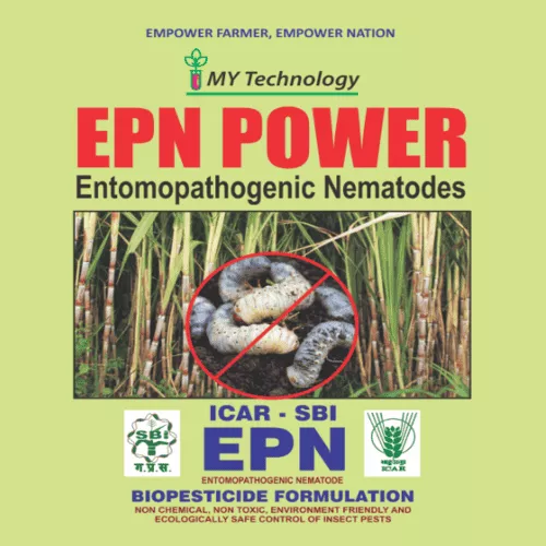EPN POWER