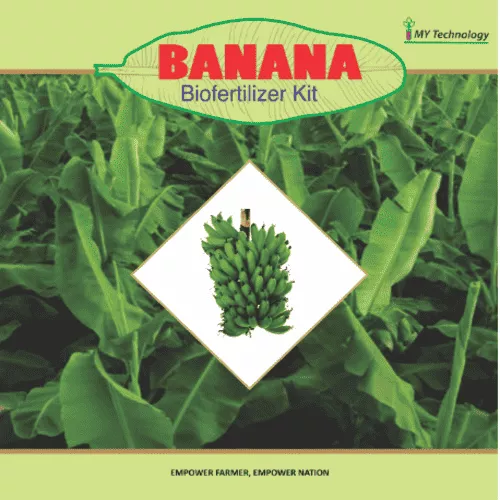 BANANA KIT