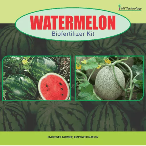 WATERMELON KIT