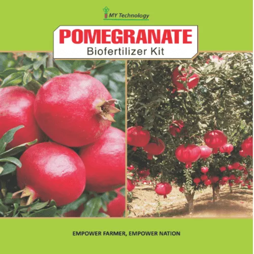 POMEGRANATE KIT