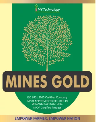 MINES GOLD