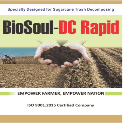 BioSoul-DC Rapid