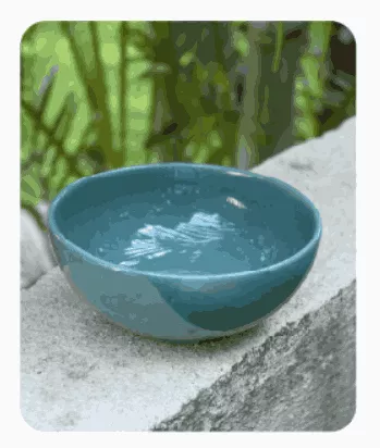 Ceramic Bowl
