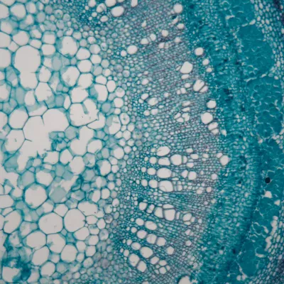 Plastic cutting machine image 6