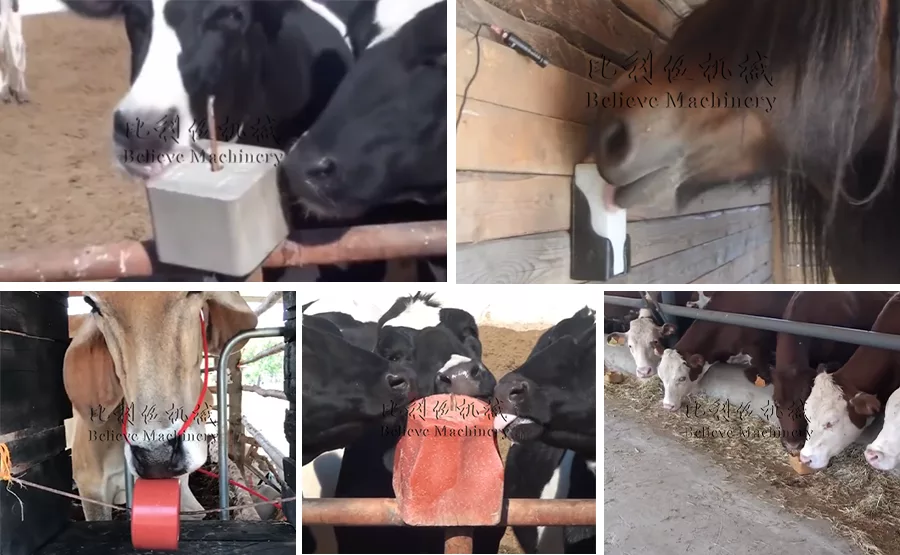 Hydraulic Animal Licking Salt Machine image 4