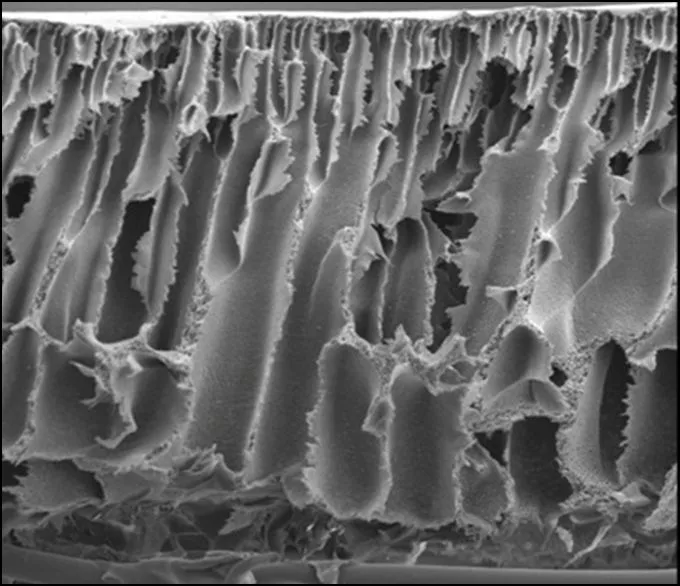 TURBO FILTRATION (TF)