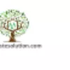 Mywaste Solution - Waste Management Consultant